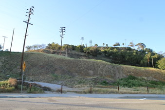 Enlarge photo 55
