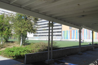 Enlarge photo 59