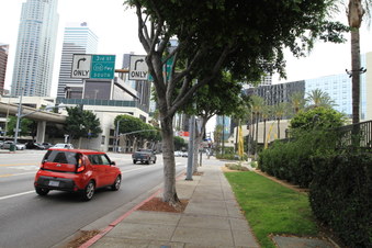 Enlarge photo 46