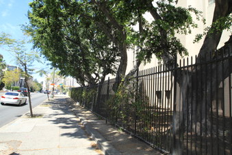 Enlarge photo 49