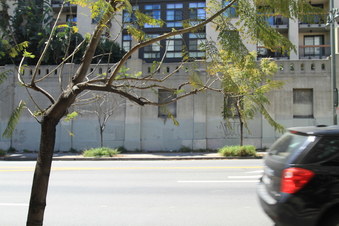 Enlarge photo 54