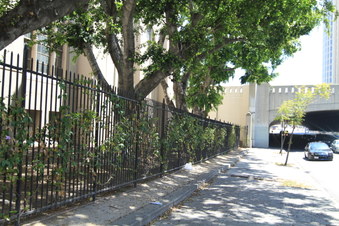 Enlarge photo 62