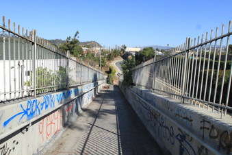 Enlarge photo 41