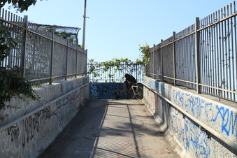 Enlarge photo 44