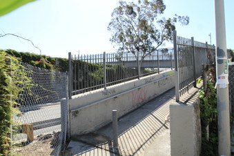 Enlarge photo 45