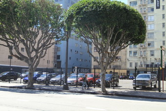 Enlarge photo 32