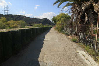 Enlarge photo 17
