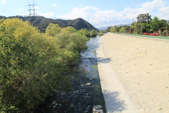 Enlarge photo 21