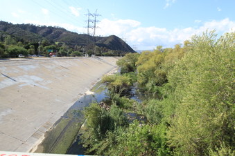 Enlarge photo 33