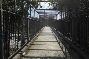 Enlarge photo 40