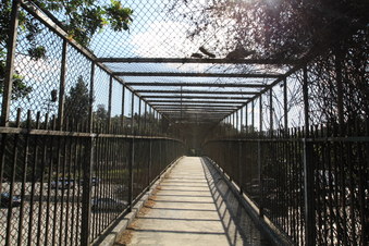 Enlarge photo 41