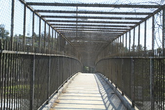 Enlarge photo 42