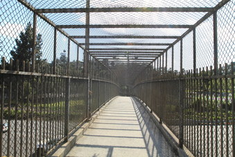 Enlarge photo 44