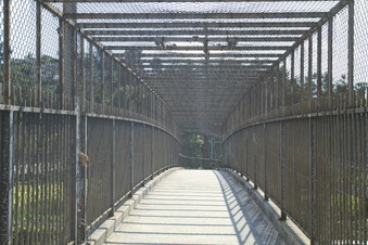 Enlarge photo 45