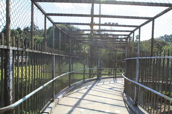 Enlarge photo 54