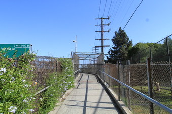 Enlarge photo 59