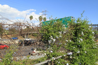 Enlarge photo 65