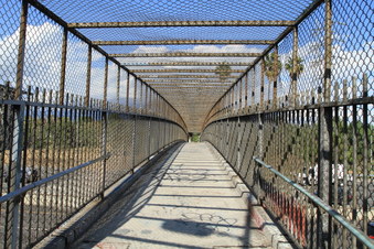 Enlarge photo 71