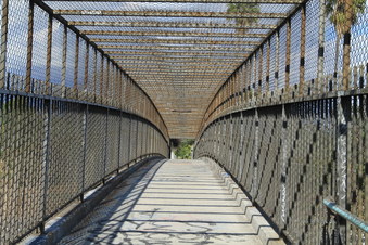 Enlarge photo 72