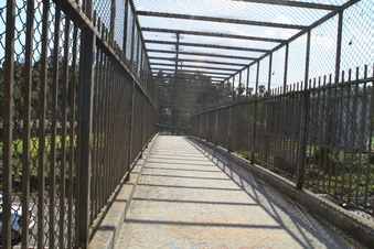 Enlarge photo 73