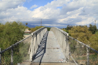 Enlarge photo 77