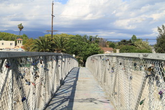 Enlarge photo 81