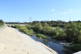 Enlarge photo 85