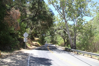 Enlarge photo 3