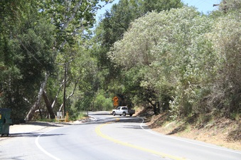 Enlarge photo 5