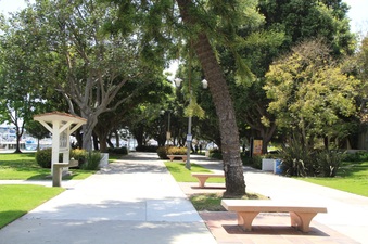 Enlarge photo 12