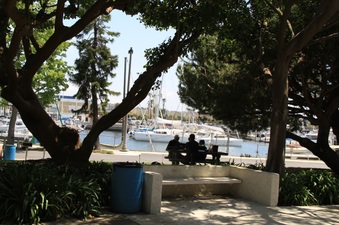 Enlarge photo 16