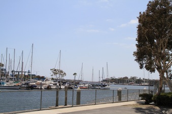 Enlarge photo 20