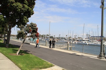 Enlarge photo 24