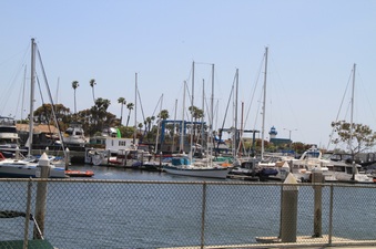 Enlarge photo 27