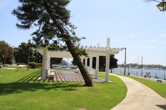 Enlarge photo 32