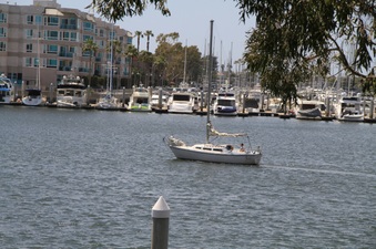 Enlarge photo 41