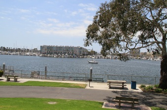 Enlarge photo 42