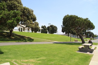 Enlarge photo 47