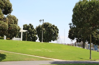Enlarge photo 48