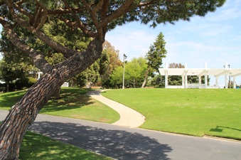 Enlarge photo 50