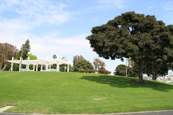 Enlarge photo 52