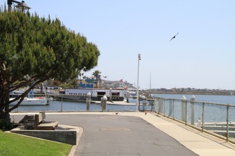 Enlarge photo 54