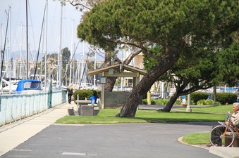 Enlarge photo 58