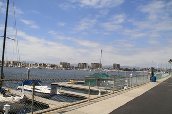 Enlarge photo 59