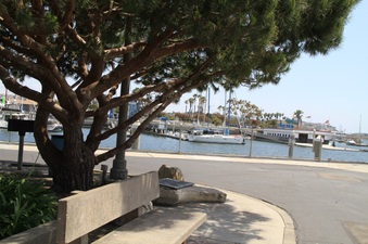 Enlarge photo 62