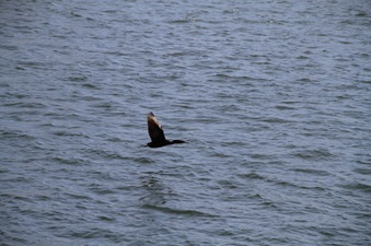 Enlarge photo 65
