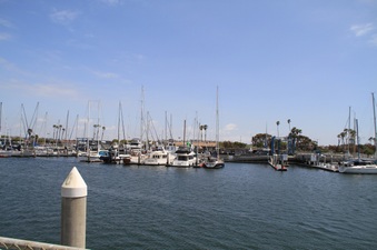 Enlarge photo 66