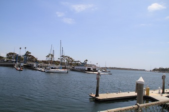 Enlarge photo 67