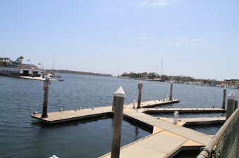 Enlarge photo 70