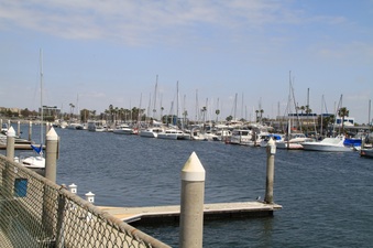 Enlarge photo 76